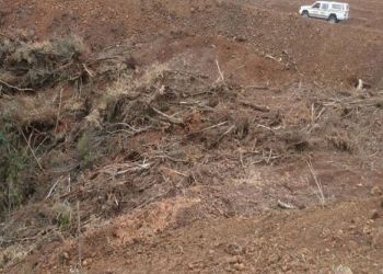PATRAM constata destruição de mata nativa no interior de Lagoa Vermelha
