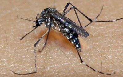 Tapejara confirma primeiro caso de dengue em 2024