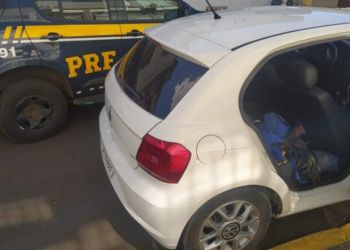 PRF resgata sete galos de rinha em situação de maus-tratos em Vacaria