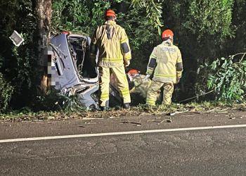Saída de pista é registrada na ERS-135, em Getúlio Vargas