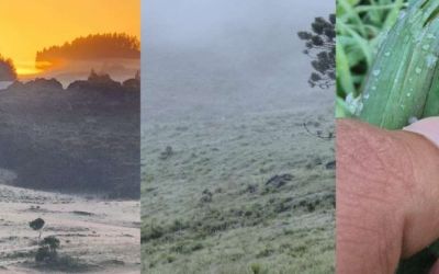 SC tem amanhecer com campos cobertos por geada e temperaturas abaixo de 5º