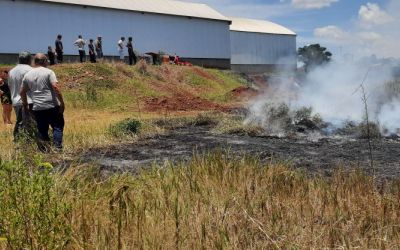 Em Ibiaçá, fogo atinge vegetação e se alastra