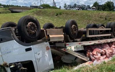 Carga de carnes de caminhão tombado é saqueada em Passo Fundo