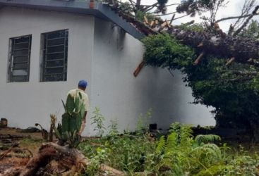 Escola Indígena de Ibiraiaras é atingida por pinheiro durante temporal