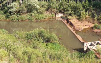 Falta água em muitas propriedades rurais no Norte do RS