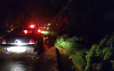 Cidades do Norte e Noroeste registram destelhamentos e quedas de árvores por conta de temporal