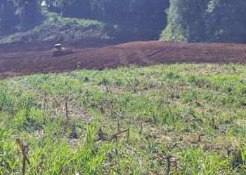 Polícia Ambiental constata dois desmatamentos em Tapejara