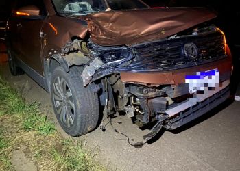 Cavalo morre atropelado na ERS-135 em Getúlio Vargas