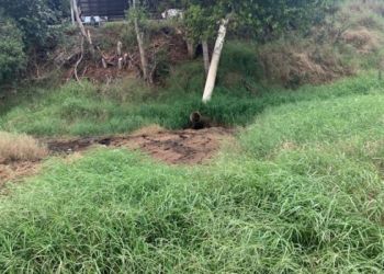 Duas propriedades rurais de Ibiraiaras são autuadas pela PATRAM por dano ambiental