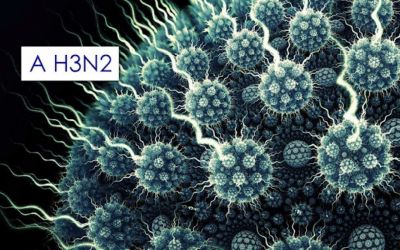 Passo Fundo confirma primeiro caso de Influenza H3N2